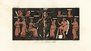 Olimpico: Heracles on his 11th labor