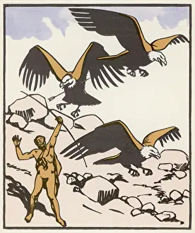 Nests: Herakles and the Birds