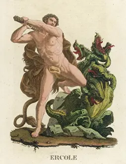 Hydra: HERAKLES AND THE HYDRA