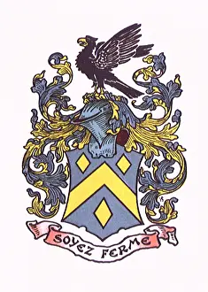 Plumed: Heraldic Shield