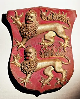 Grasser: Heraldry