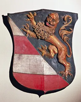 Grasser: Heraldry