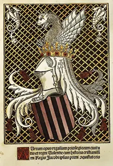 Opus: Heraldry