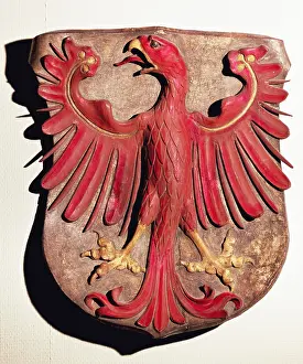 Grasser: Heraldry