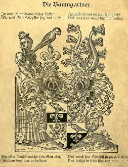 Baumgartner: heraldry, coat of arms, Germany, Baumgartner