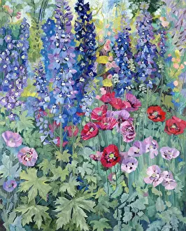 Herbaceous: Herbaceous Border