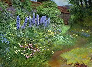 Herbaceous: Herbaceous Border with Delphiniums