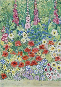 Herbaceous: Herbaceous Border ' Hollyhocks, Poppies etc