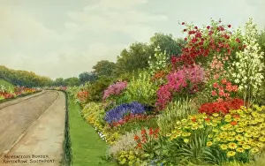 Herbaceous: Herbaceous border, Rotten Row, Southport, Lancashire