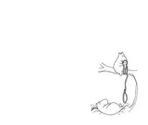 Newcome: Herbert the Harmonious Hippo