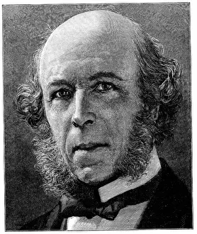 Darwinism: Herbert Spencer (1820-1903) English philosopher