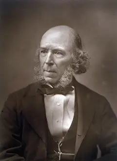 Sociologist: Herbert Spencer