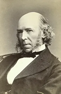 Sociology: Herbert Spencer - British - science - politics