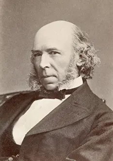 Positivism: Herbert Spencer, social philosopher, whose