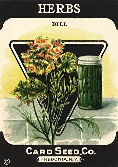 Pickles: Herbs Seed Packet