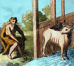 Labours: Hercules Cleaning Augean Stables, 5th Labor