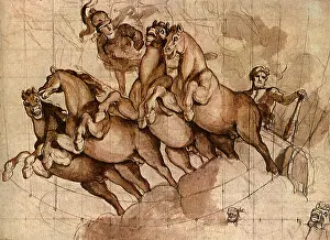 Equines: Hercules Drives Chariot