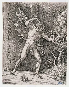 Feat: Hercules fighting a snake