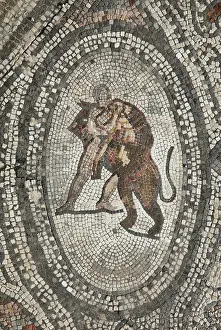 Labors: Hercules mosaic, House of the Labours of Hercules