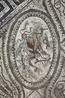 Labors: Hercules mosaic, House of the Labours of Hercules