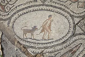 Labors: Hercules mosaic, House of the Labours of Hercules