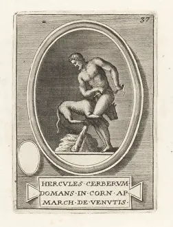 Cerberus: Hercules subduing the three-headed hellhound Cerberus