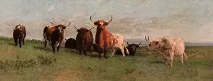 Longhorn: The Herd