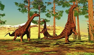 Rearing: A herd of Alamosaurus dinosaurs forage among forest trees