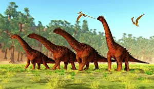 Pteranodon: Herd of Alamosaurus dinosaurs with Pteranodon