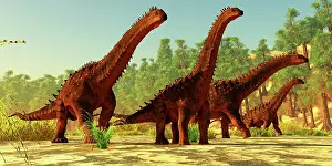 Alamosaurus: A herd of Alamosaurus sauropod dinosaurs walk