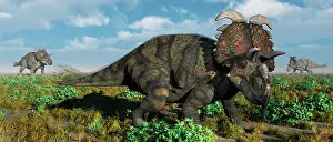 Nesmoi: A herd of Albertaceratops from the Cretaceous Period