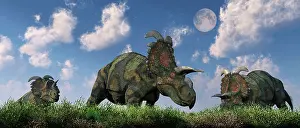 Nesmoi: A herd of Albertaceratops grazing