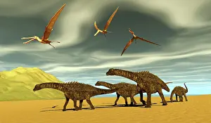 Pteranodon: Herd of Ampelosaurus dinosaurs cross a beach as