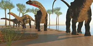 Brontosaurus: A herd of Apatosaurus dinosaurs