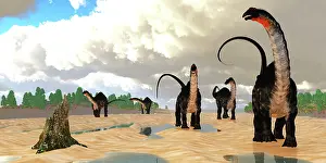 Tide: A herd of Apatosaurus dinosaurs at low tide during