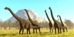 Roaming: A herd of Brachiosaurus dinosaurs in the afternoon sun