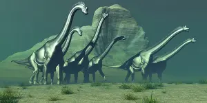 Bluff: A herd of Brachiosaurus dinosaurs pass a high bluff