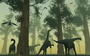 Camarasaurus: A herd of Camarasaurus dinosaurs