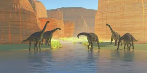 Absence: A herd of Cetiosaurus dinosaurs drink from a canyon river