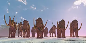 Mastodon: A herd of Columbian Mammoths migrate to a warmer climate