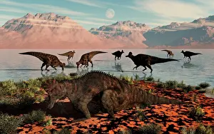 Lambeosaurinae: Herd of Corythosaurus duckbill dinosaurs grazing