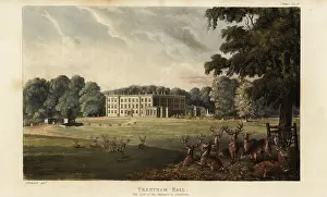 Heathcote: Herd of deer in front of Trentham Hall