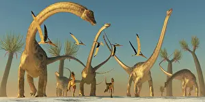 Wetherilli: Herd of Diplodocus dinosaurs