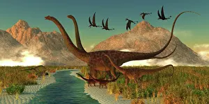 Longus: A herd of Diplodocus dinosaurs bring their youngsters