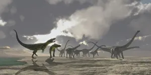 Longus: A herd of Diplodocus dinosaurs is chased away