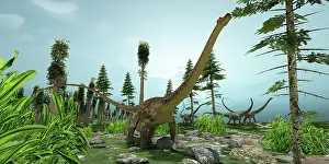 Paleo: A herd of Diplodocus dinosaurs graze on trees