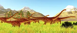 Longus: A herd of Diplodocus dinosaurs walking through tall grass