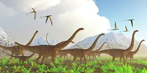 Longus: A herd of Diplodocus dinosaurs on their yearly migration