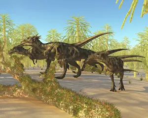 Pachycephalosaurid: A herd of Dracorex dinosaurs walk through a carboniferous ?