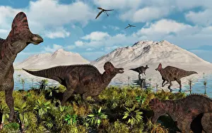 Lambeosaurinae: A herd of duckbilled Corythosaurus dinosaurs